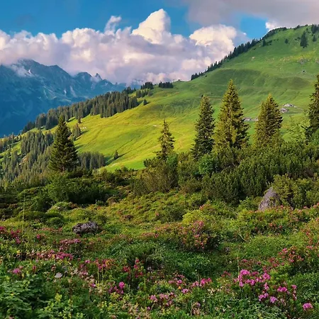 Berghof Burtscher Niklas * Ludesch