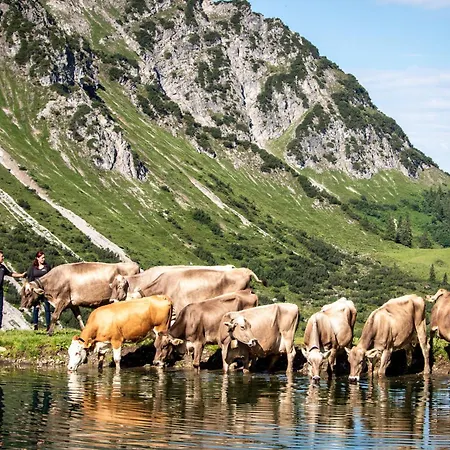 Berghof Burtscher Niklas * Ludesch